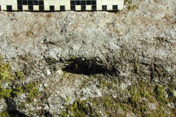   Le monument funéraire  